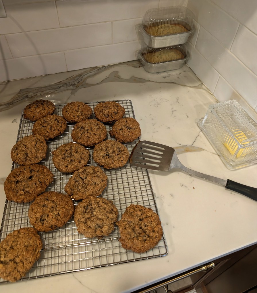 Oatmeal Raisin Cookies